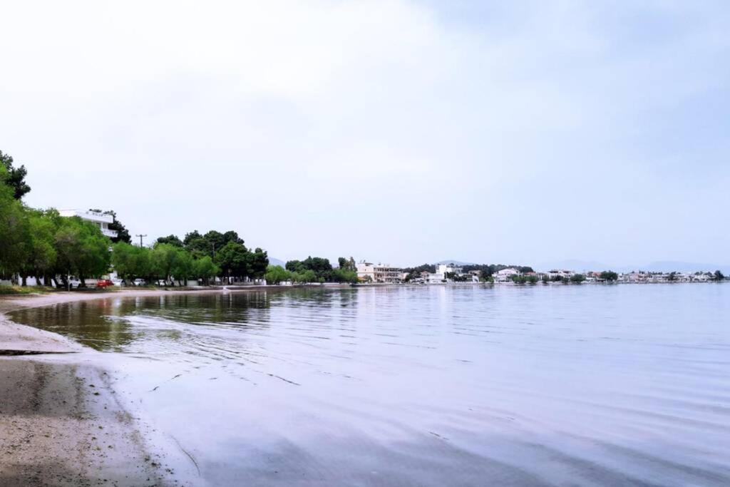Πολυτελές Διαμέρισμα 3 Χαλκίδα-Παραλία Αυλίδος Paralia Avlidhos Eksteriør billede